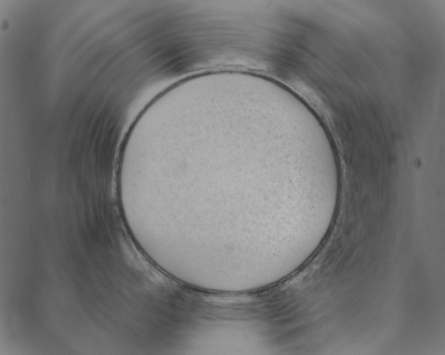 X0000087391296200705181258