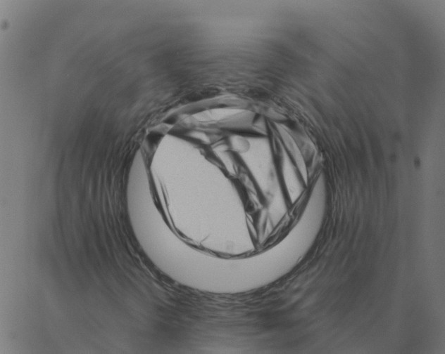 X0000087391298200705181257