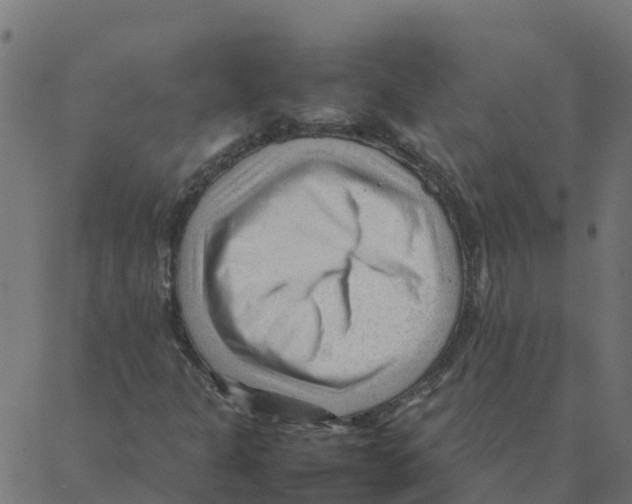 X0000087391301200705181257