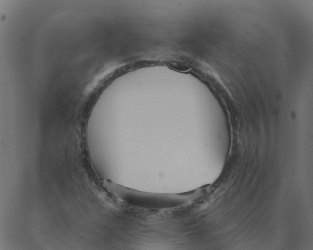 X0000087391304200705181257