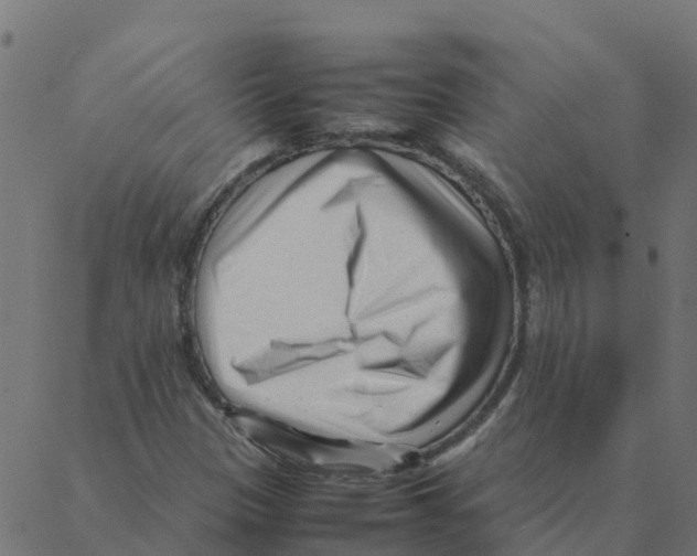 X0000087391305200705181257