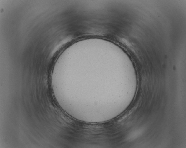 X0000087391307200705181257