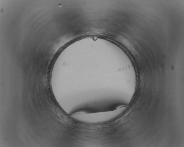 X0000087391308200705181257