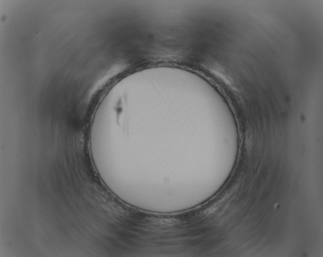 X0000087391309200705181257