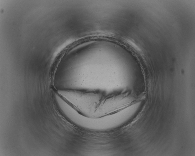 X0000087391310200705181257