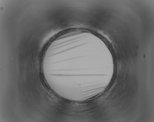 X0000087391311200705181257