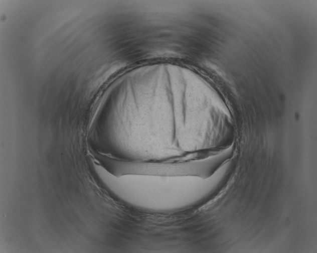 X0000087391313200705181257