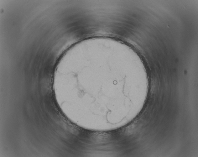 X0000087391314200705181257