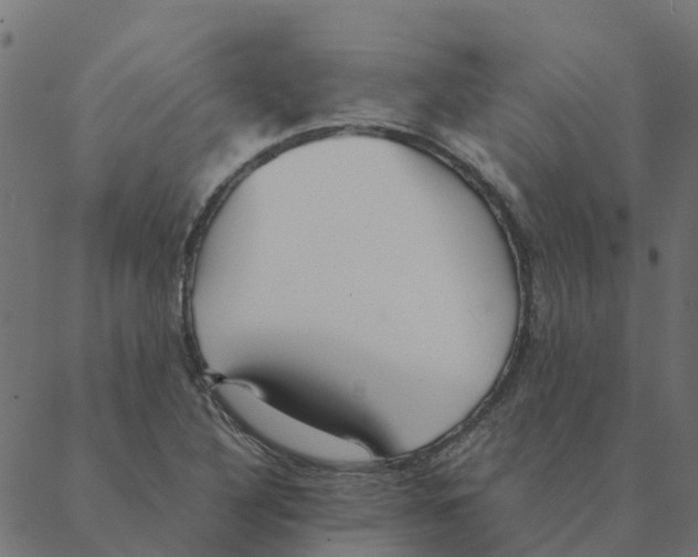 X0000087391316200705181257