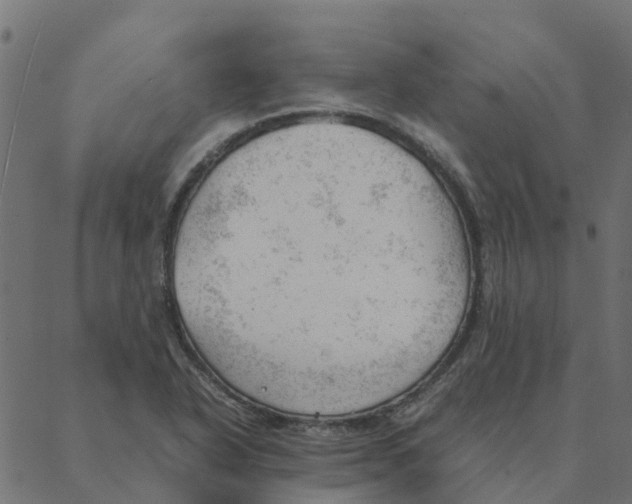 X0000087391318200705181257