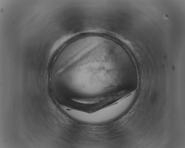 X0000087391319200705181257