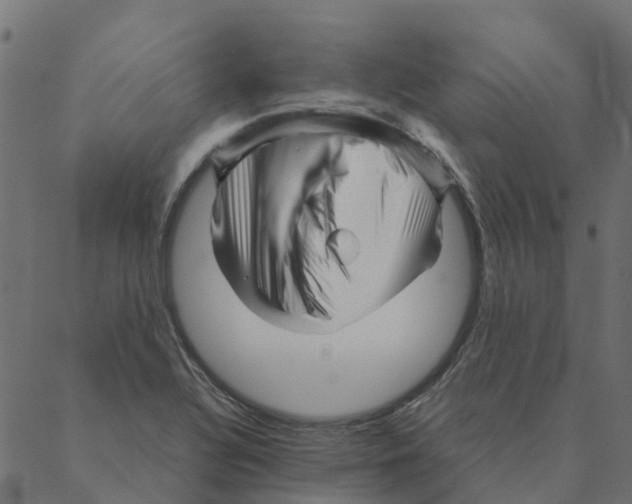 X0000087391320200705181257