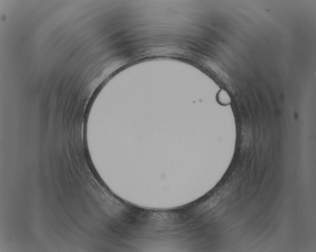 X0000087391322200705181257