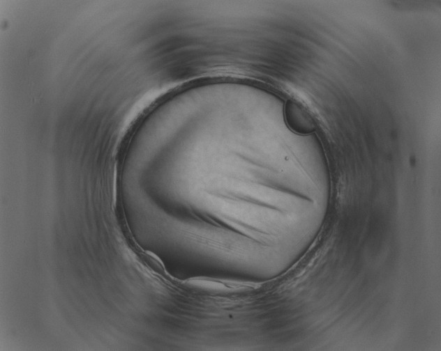 X0000087391323200705181257