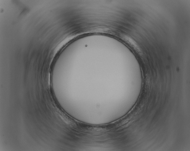 X0000087391324200705181257