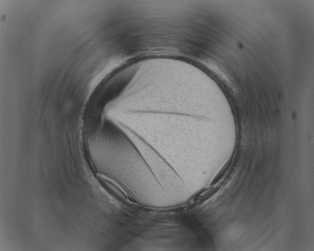 X0000087391325200705181257