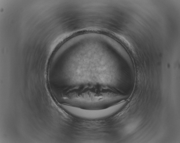 X0000087391327200705181257