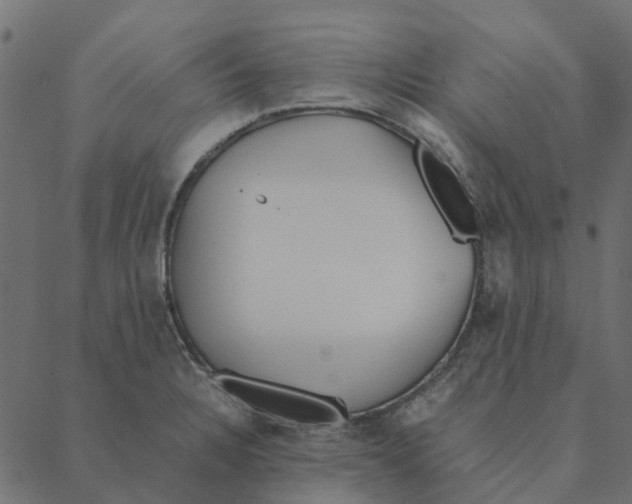 X0000087391328200705181257