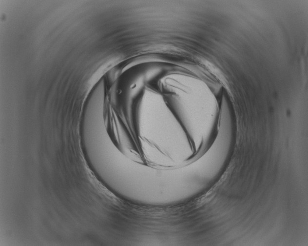 X0000087391330200705181257