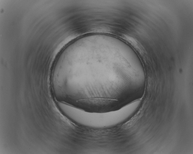 X0000087391331200705181257