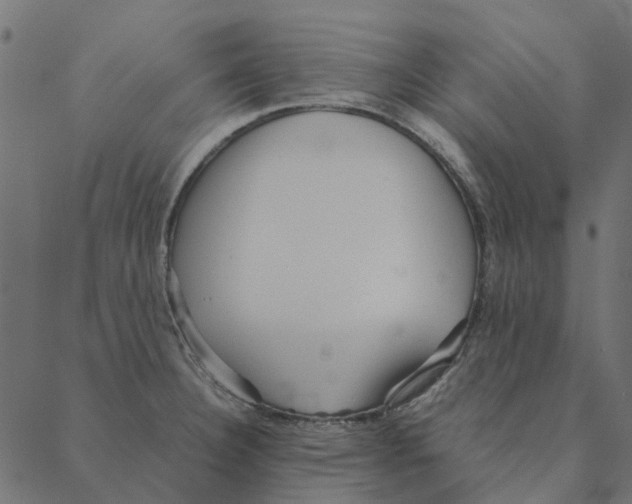 X0000087391332200705181257