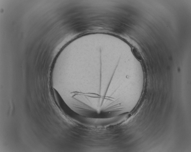 X0000087391333200705181257