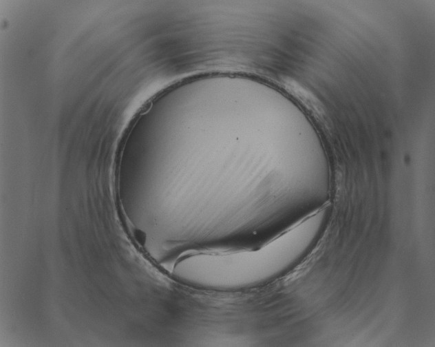 X0000087391334200705181257