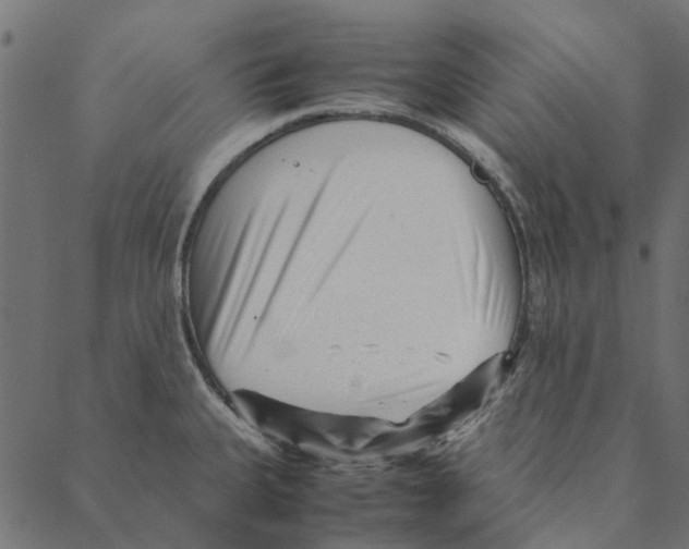 X0000087391335200705181258