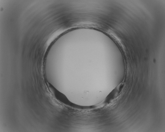 X0000087391336200705181258