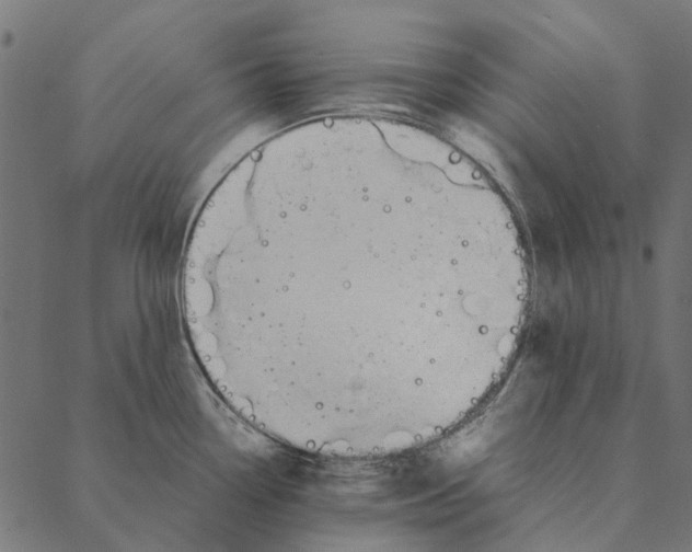 X0000087391338200705181258