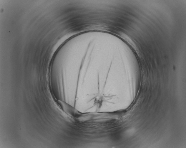 X0000087391339200705181258