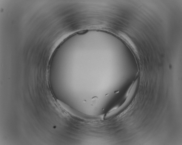 X0000087391340200705181258