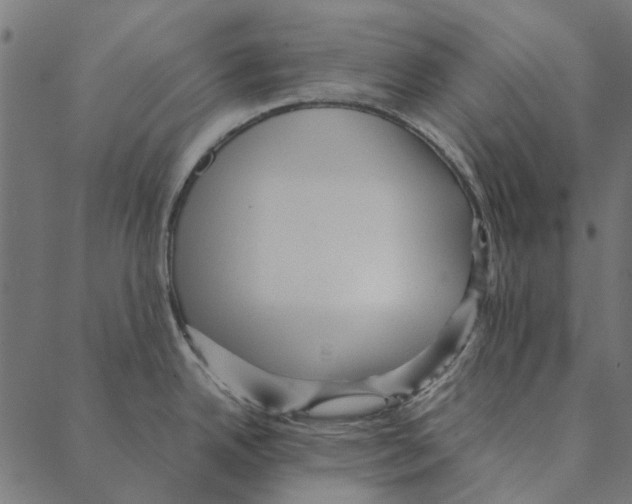 X0000087391342200705181258