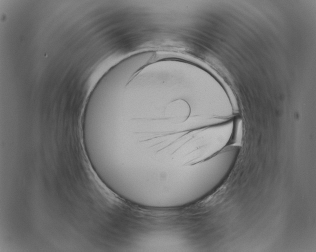 X0000087391344200705181258