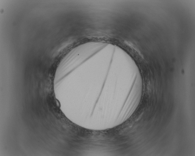 X0000087391350200705181257