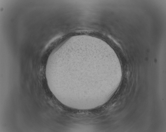 X0000087391351200705181257