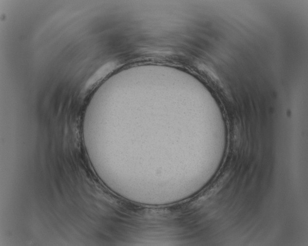 X0000087391354200705181257