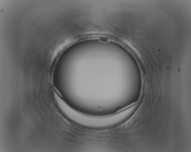 X0000087391357200705181257