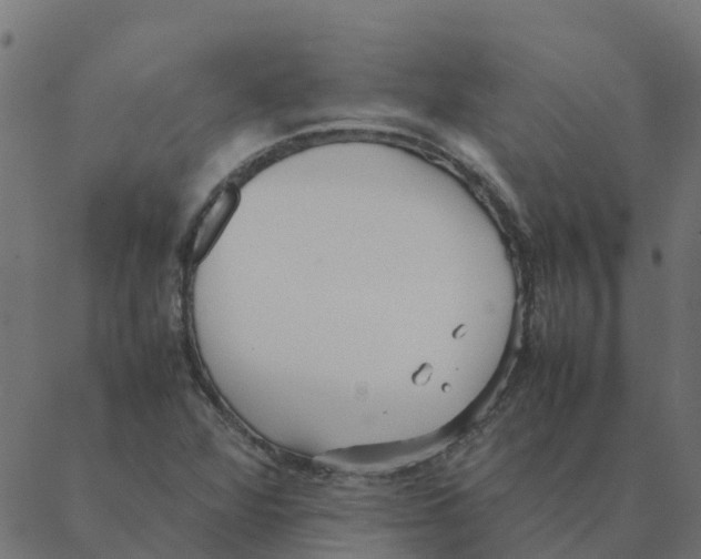 X0000087391360200705181257