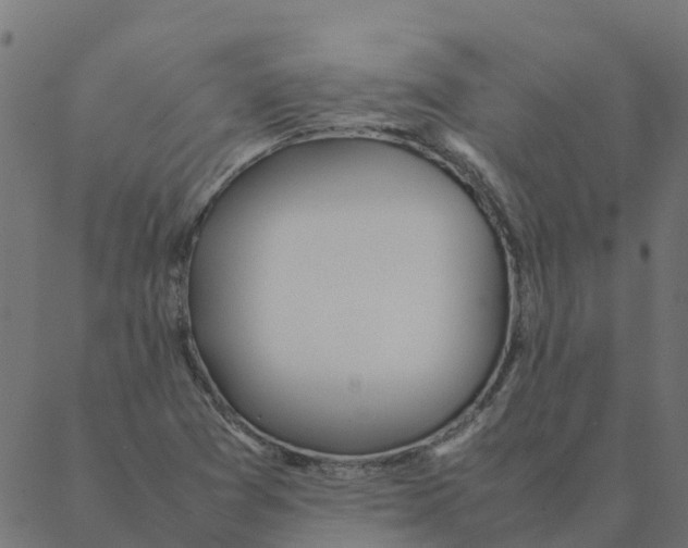 X0000087391361200705181257