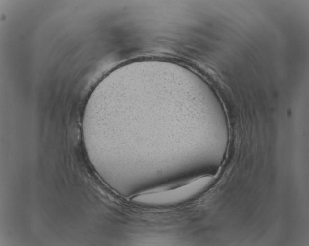 X0000087391363200705181257