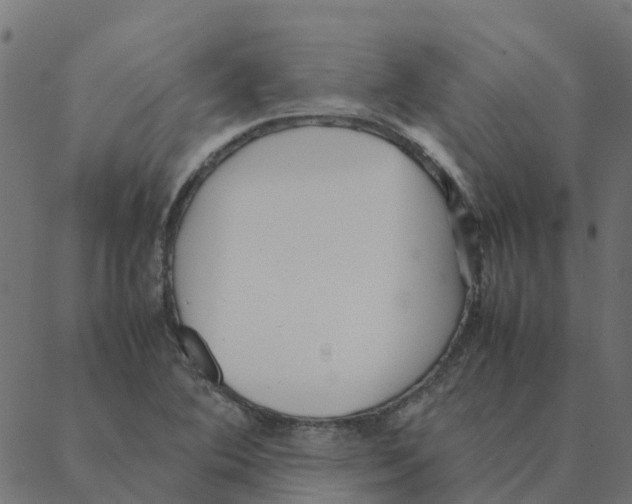 X0000087391364200705181257