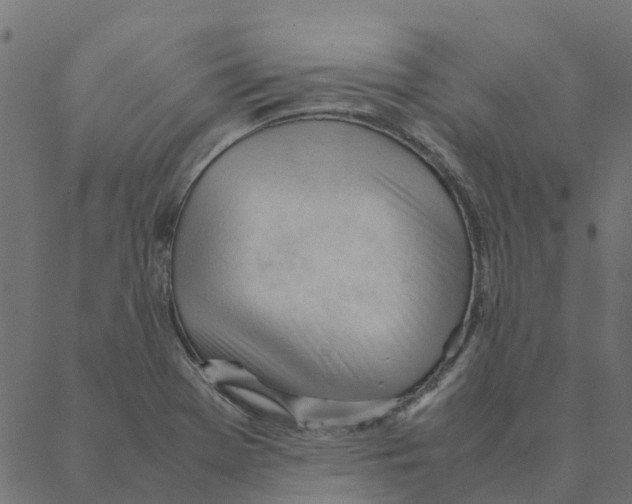 X0000087391369200705181256