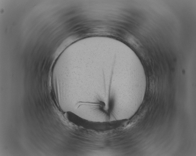 X0000087391370200705181256