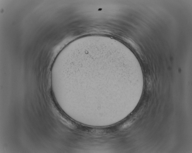 X0000087391371200705181256