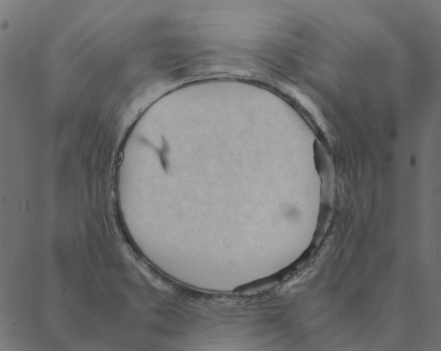 X0000087391373200705181256