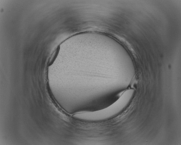 X0000087391375200705181256