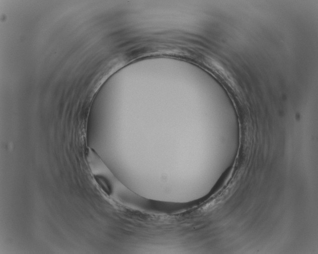 X0000087391377200705181256