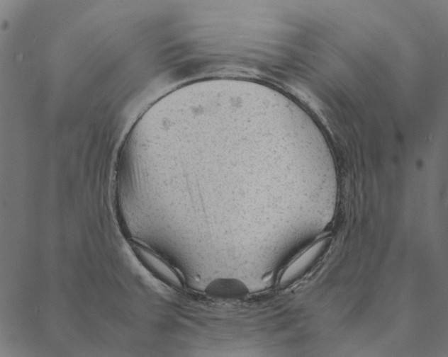 X0000087391379200705181256