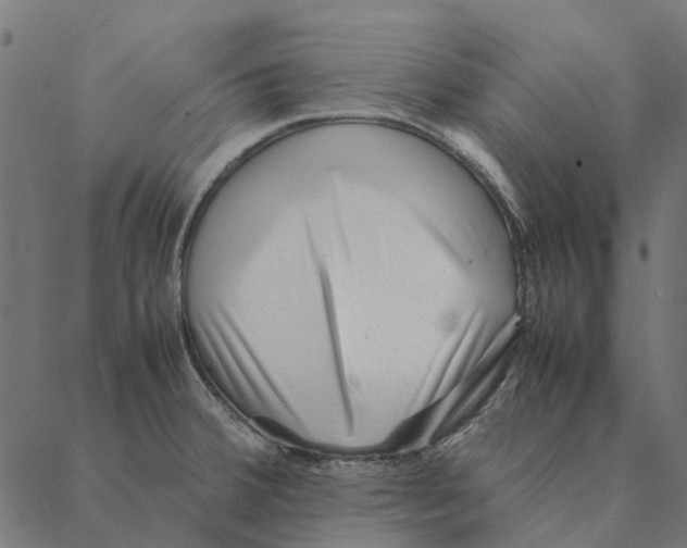 X0000087391380200705181256